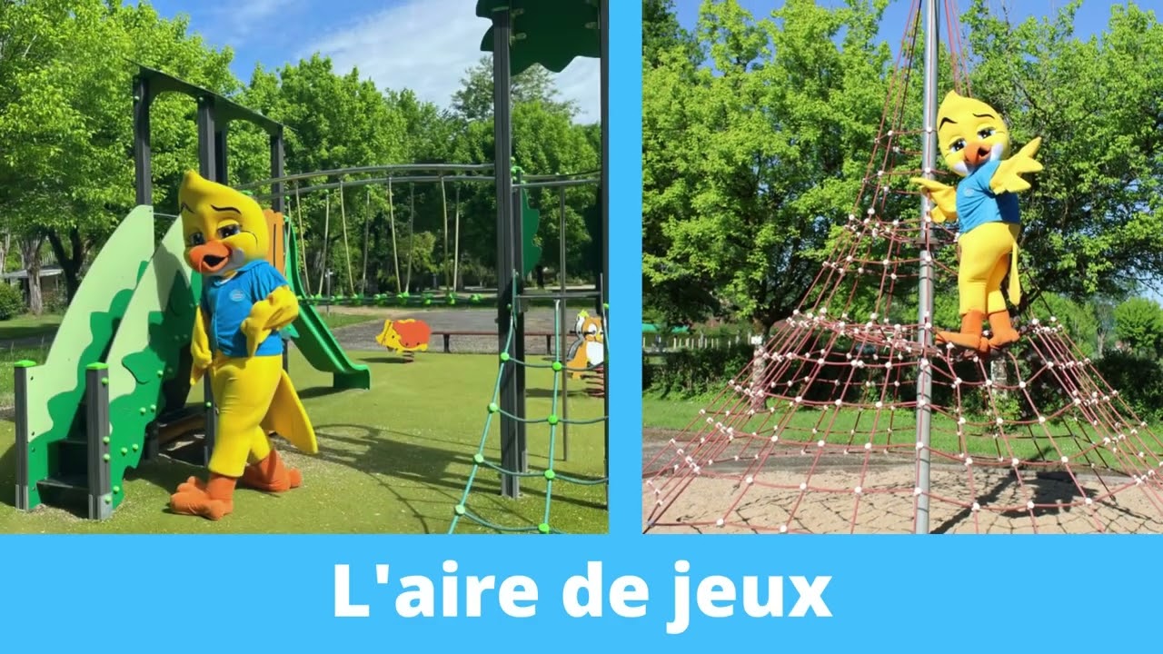 Visitez le camping avec Piki