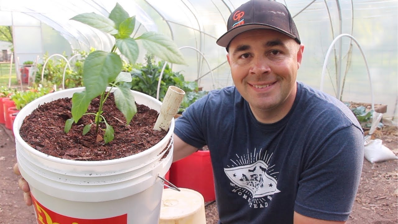 How to Build the BEST Self Wicking Bucket! DIY Self Watering 5 Gallon Bucket