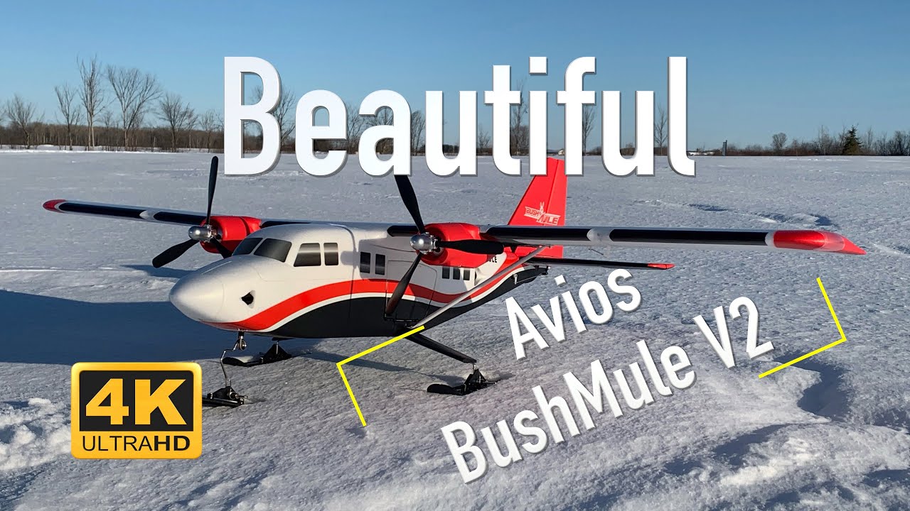 Avios PNF BushMule V2 - Beautiful Winter Flight