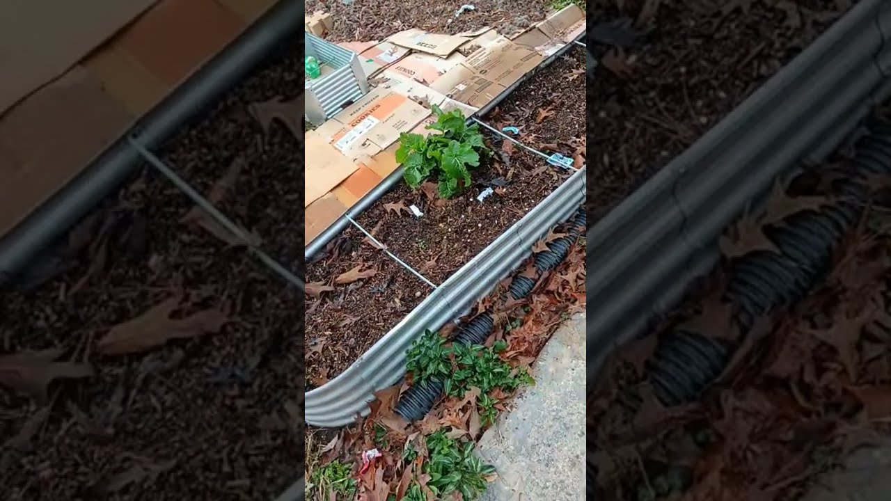 DIY Making Homemade Organic Soil for My Garden Area