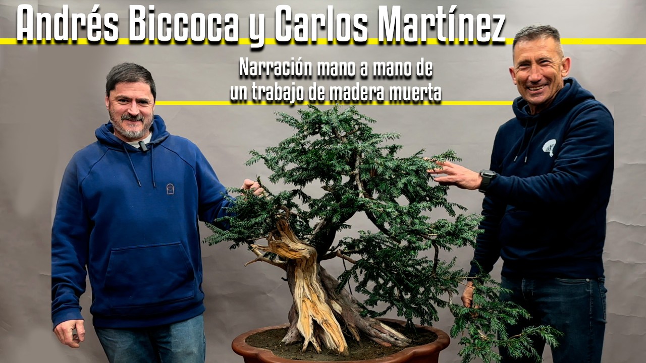 Andrés Biccoca y Carlos Martínez. Narración mano a mano de un trabajo de madera muerta