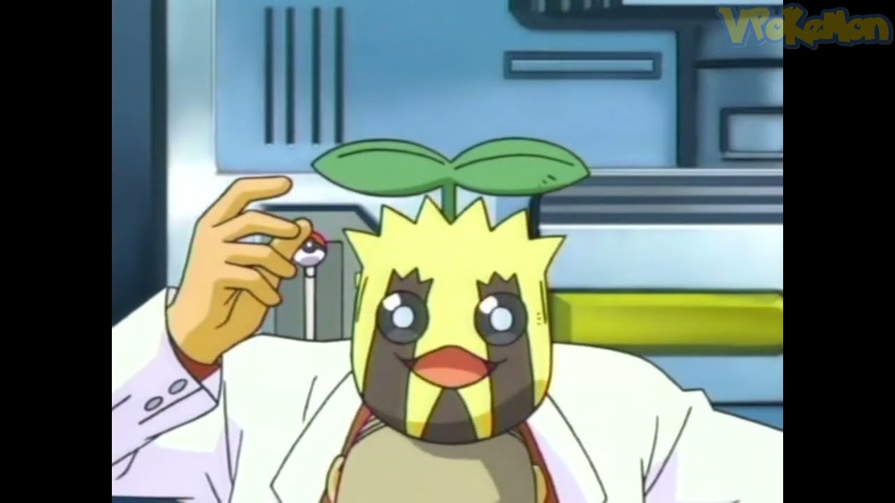 Sunkern attacks Professor Oak | Professor Oak Funny Moments