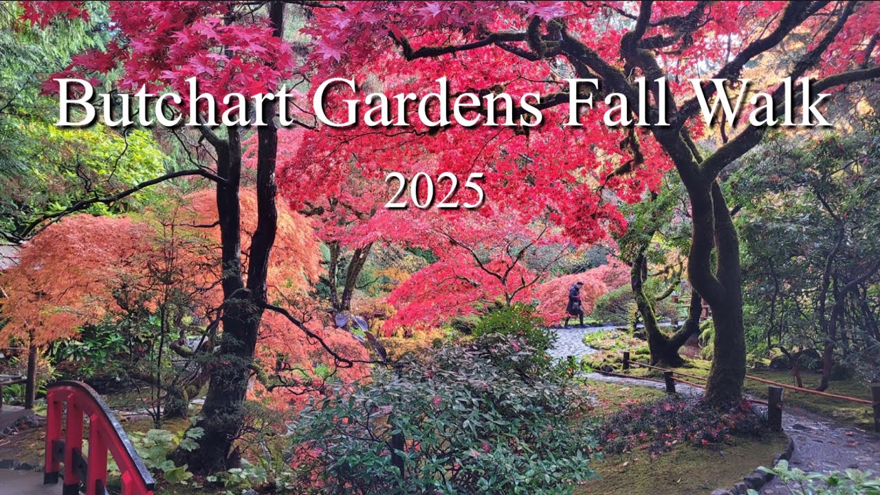 Наслаждайтесь моей осенней прогулкой в ​​садах Бутчарт на острове Ванкувер.