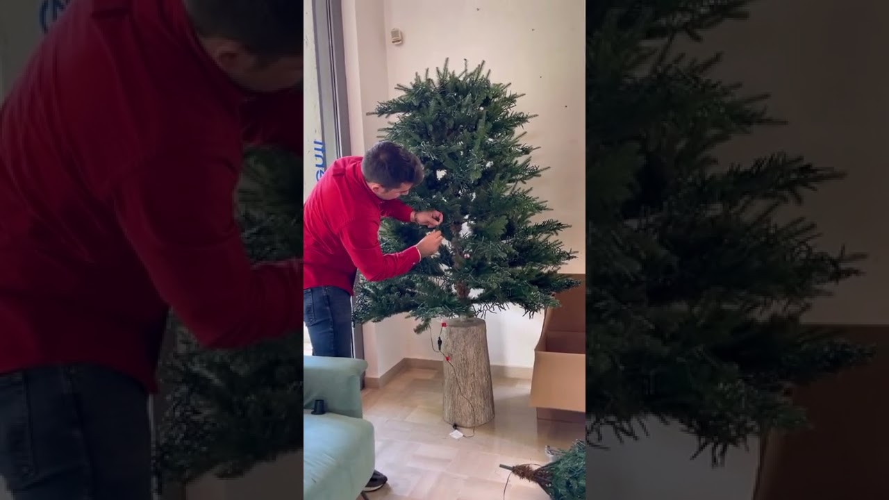 Recensione Pino Spark 210 Enzo De Gasperi