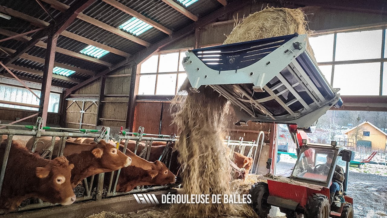 Dérouleuse de balle Kolaszewski : Démonstration par la GAEC de la Rochetière