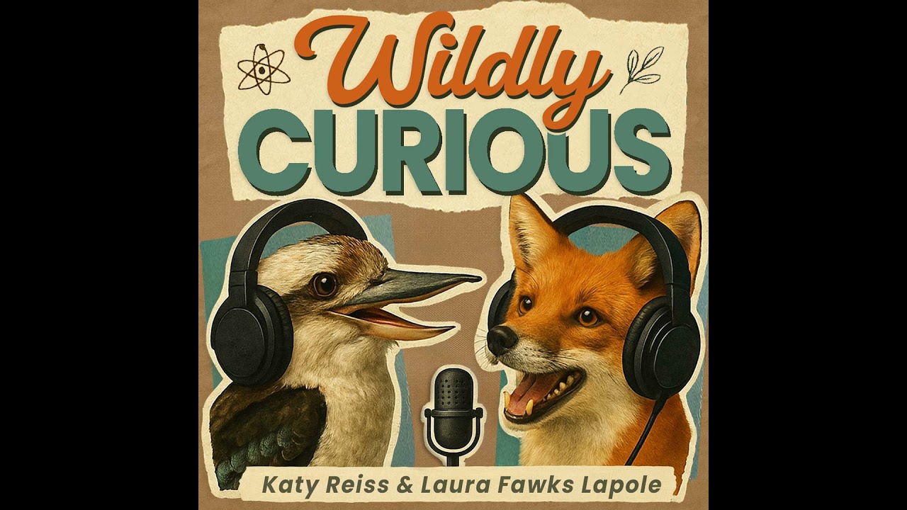 Can Cats Talk? The Science Behind Meows, Purrs, and Human Manipulation
