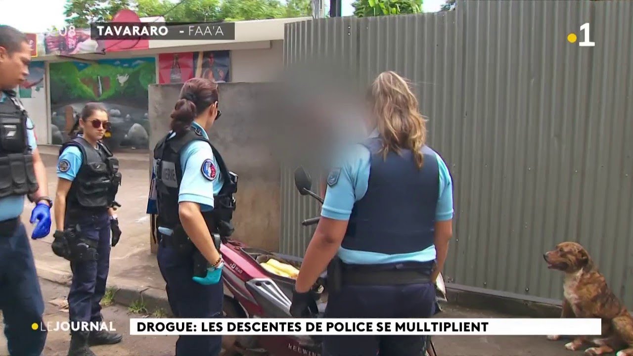 Lutte contre les trafics de drogue : la coopération trans-Pacifique en marche