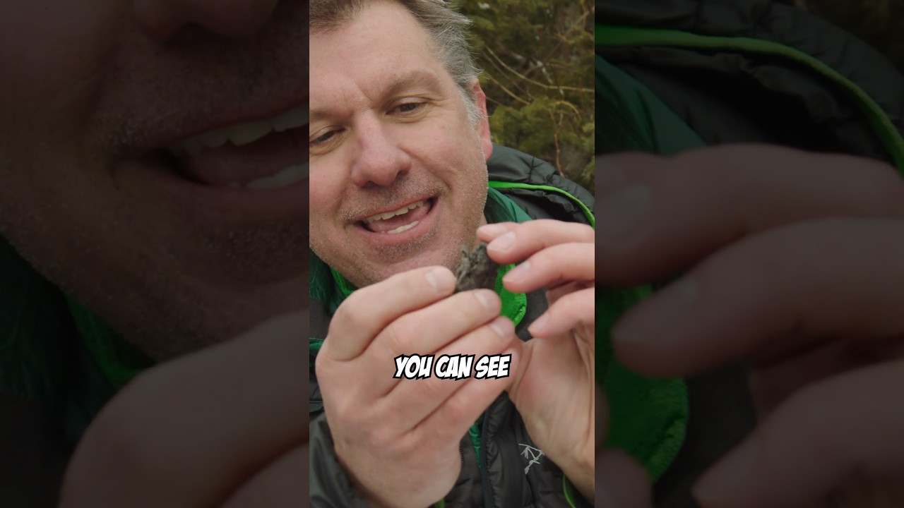 What&rsquo;s Inside an Owl Pellet? Surprising Discoveries!