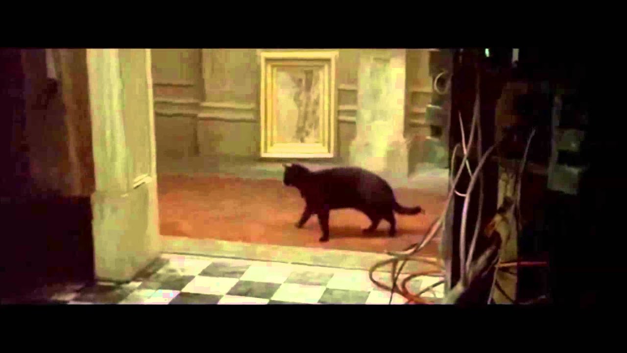 Sttutter Deja Vu