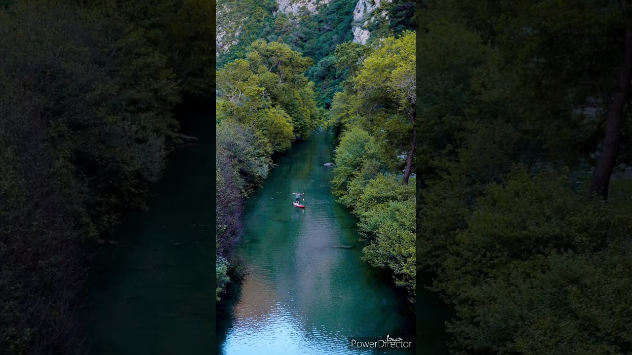 cheb miha jijel