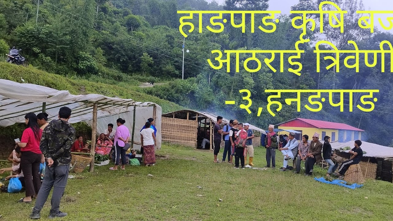 Aathrai tribine -3, Hangpang कृषि बजार #taplejung 😱😱😱Aambo Draigan fruits 1KG Rs500 ma