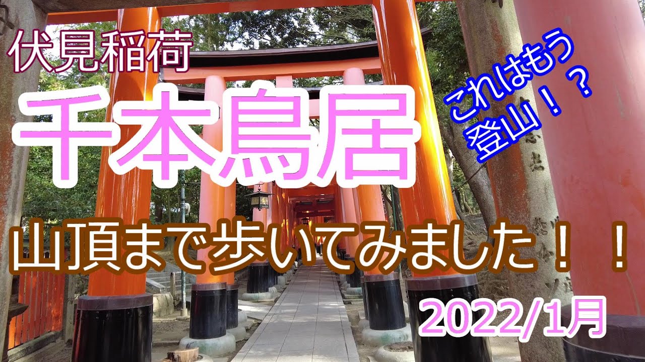 千本鳥居（伏見稲荷）山頂・頂上まで歩いてみました！！これはもう軽く登山だ！！なめてかかると痛い目にあるかも！？2022/1月
