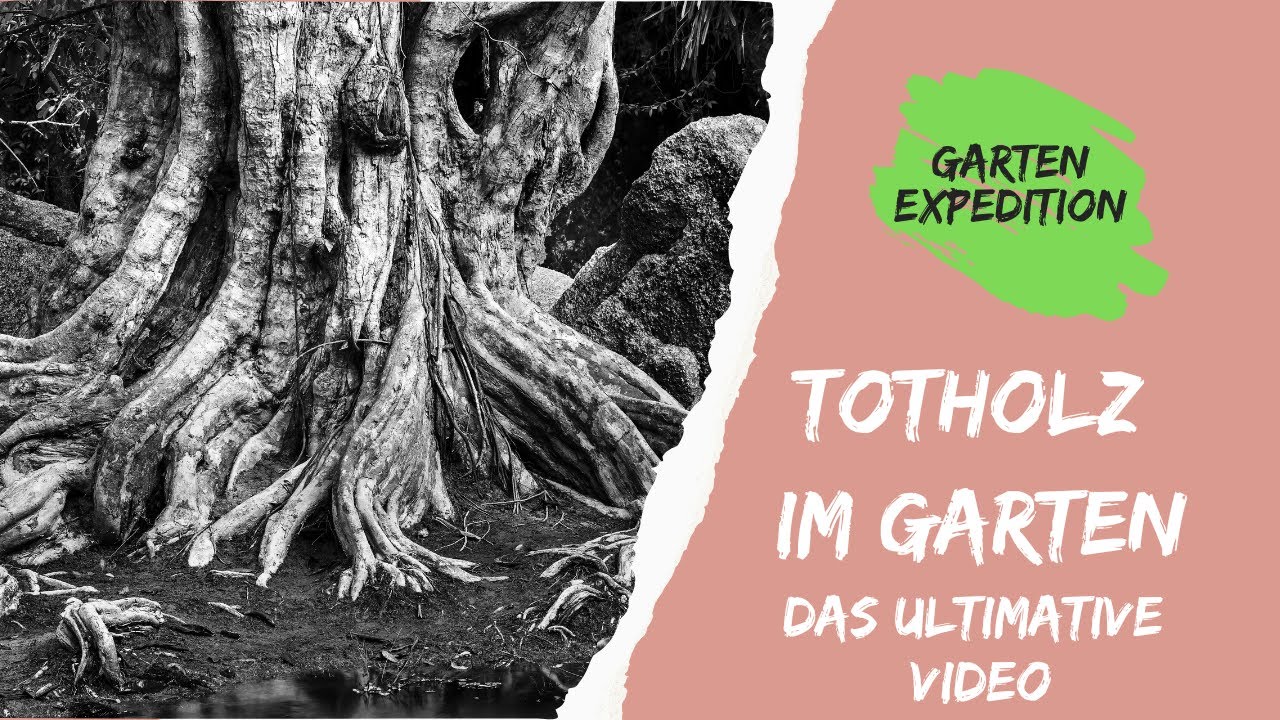 Totholz im Naturgarten - Das ultimative Video - Gartenexpedition #naturgarten #totholz