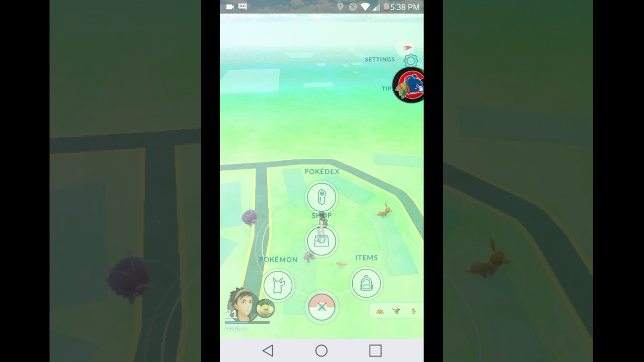 Graveler sound pokemon go!!