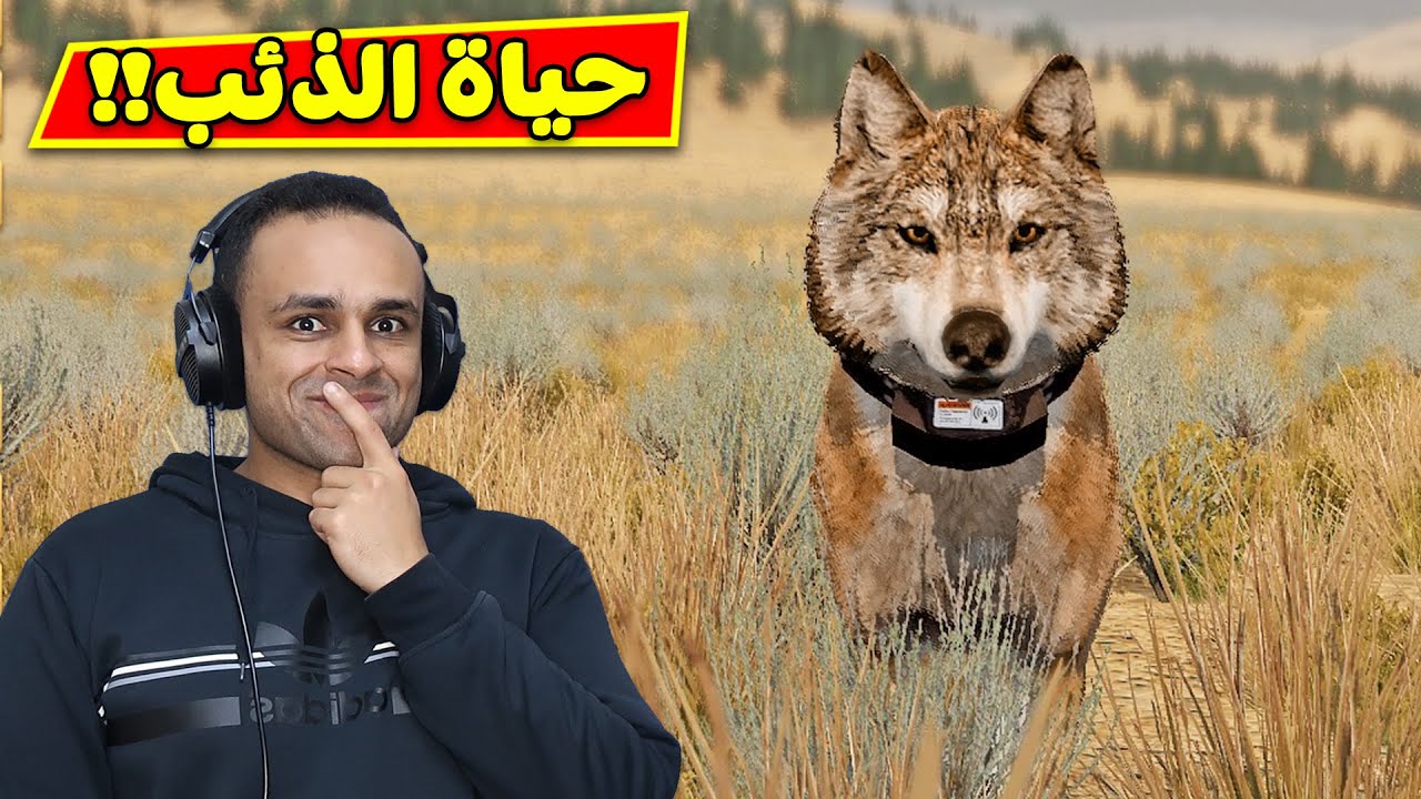 حياة الذئب | Wolf Quest !! 🐺🔥