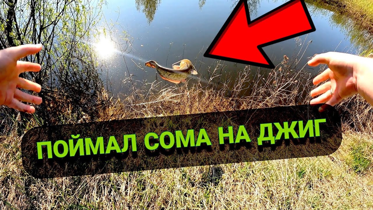 Ловля сома на джиг. Рыбалка 2023г. Сом на силикон. Рыбалка на реке Пьяна Нижегородская область