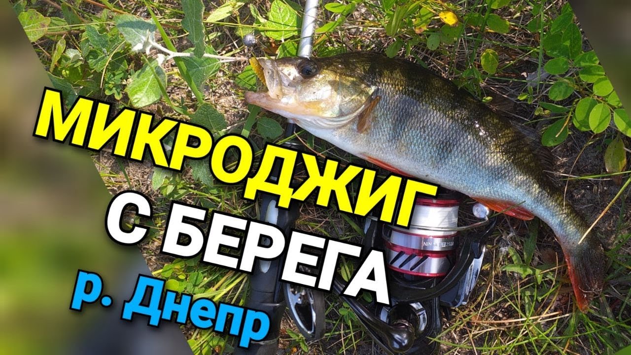 МИКРОДЖИГ С БЕРЕГА. Как найти КРУПНОГО окуня летом на РЕКЕ.  Ловля ОКУНЯ и СУДАКА НА СИЛИКОН.