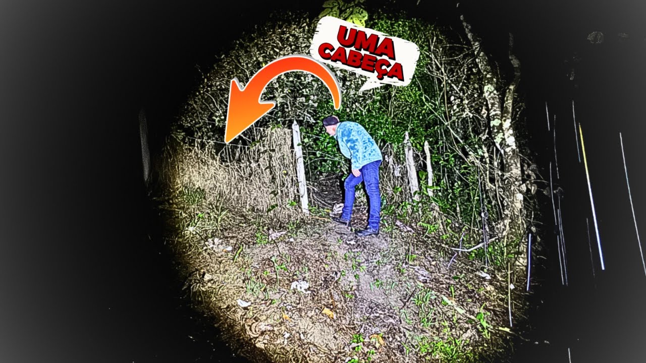ENTRAMOS NA FLORESTA DO DIABO - A FLORESTA MAIS ASSUSTADORA DO BRASIL -