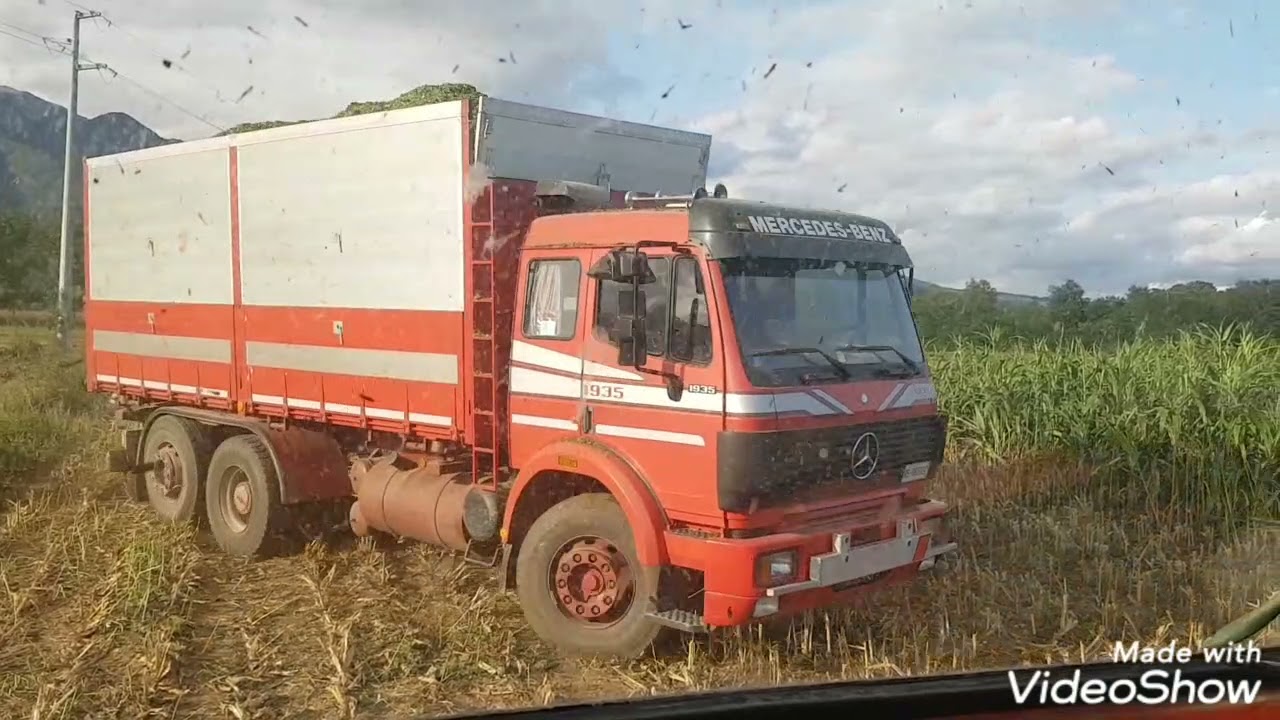 Trinciato 2021/Claas Jaguar 840+Kemper 4500 F.lli Andreatta.