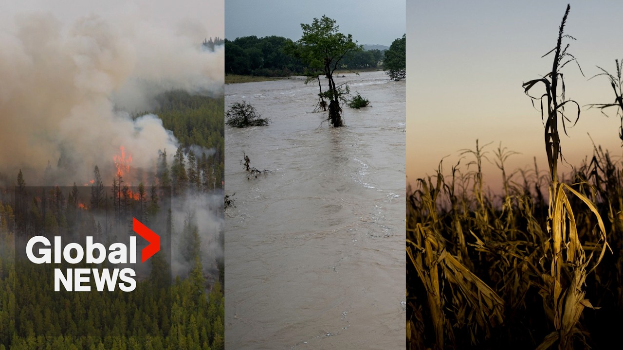 Here&rsquo;s what a super El Ni&ntilde;o would mean for Canada