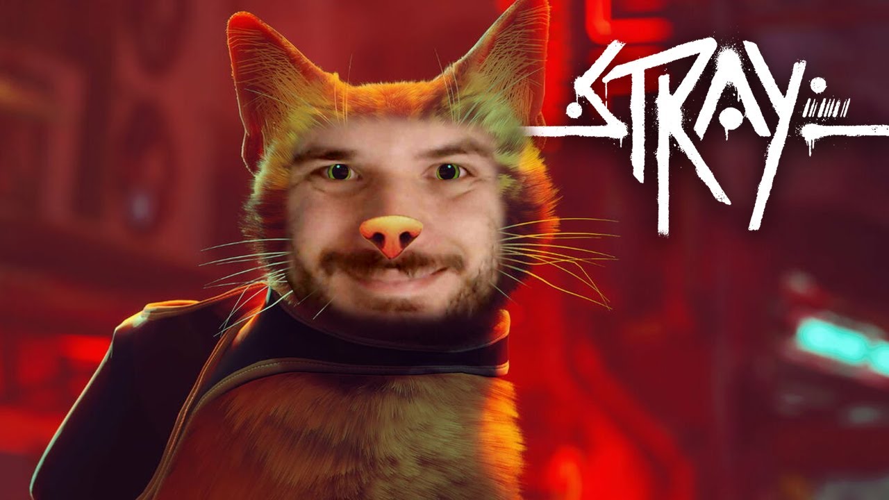 O JOGO DO GATO QUE TÁ TODO MUNDO JOGANDO! - Stray
