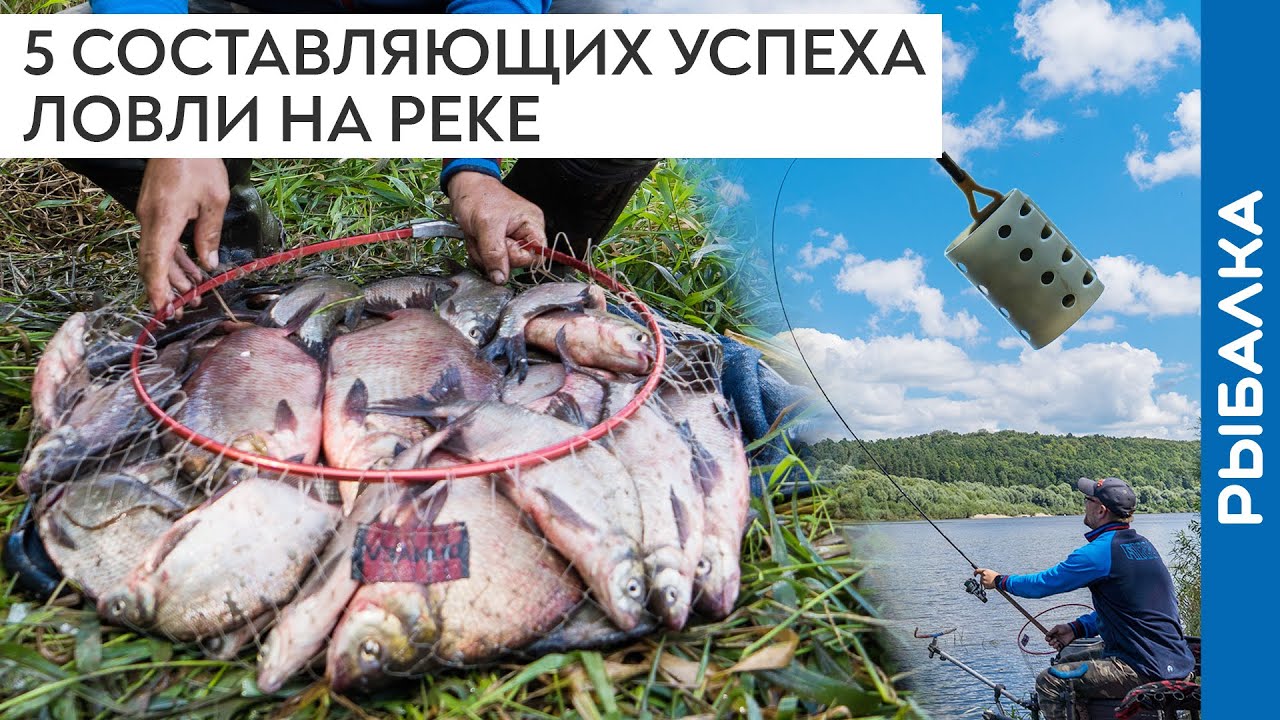 Как НАЛОВИТЬ ЛЕЩА на реке: 5 составляющих успеха! Рыбалка на Оке 2020 на фидер