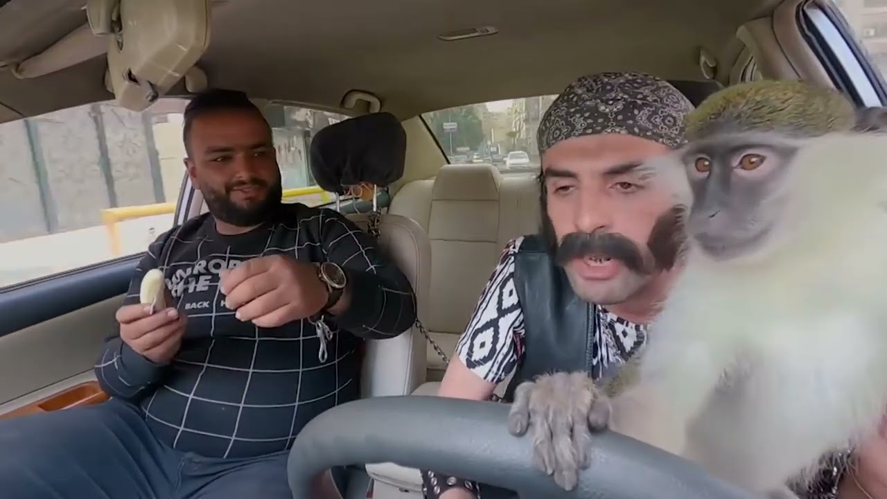 ممكن تقول انك جوز اختي انت شكلك راجل .. مسخرررررة 😂😂