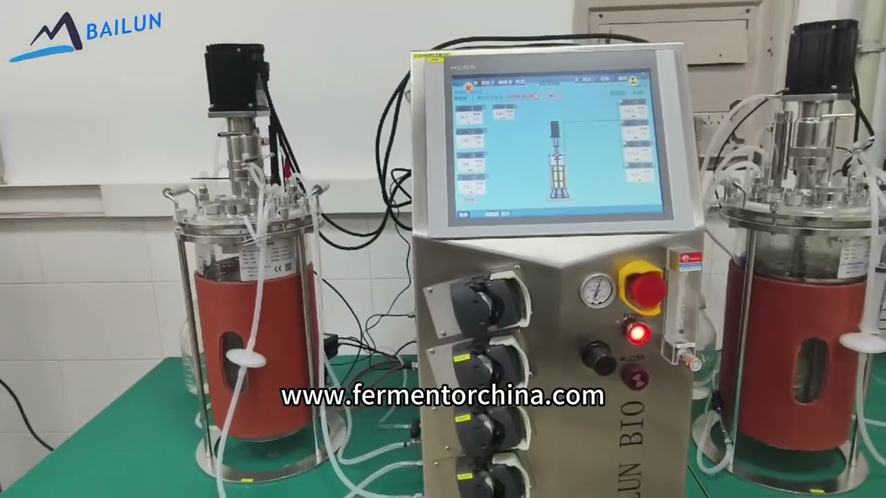 Bailun 5L-2 single wall glass bioreactor laboratory bio fermenter #fermenter #bioreactor