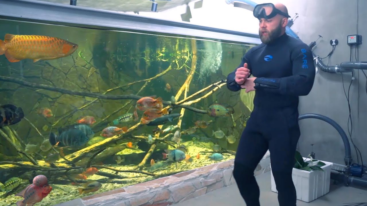Im Eigenen Aquarium Schwimmen?! | Neue Pflanzen Für's 21.000 Liter Becken