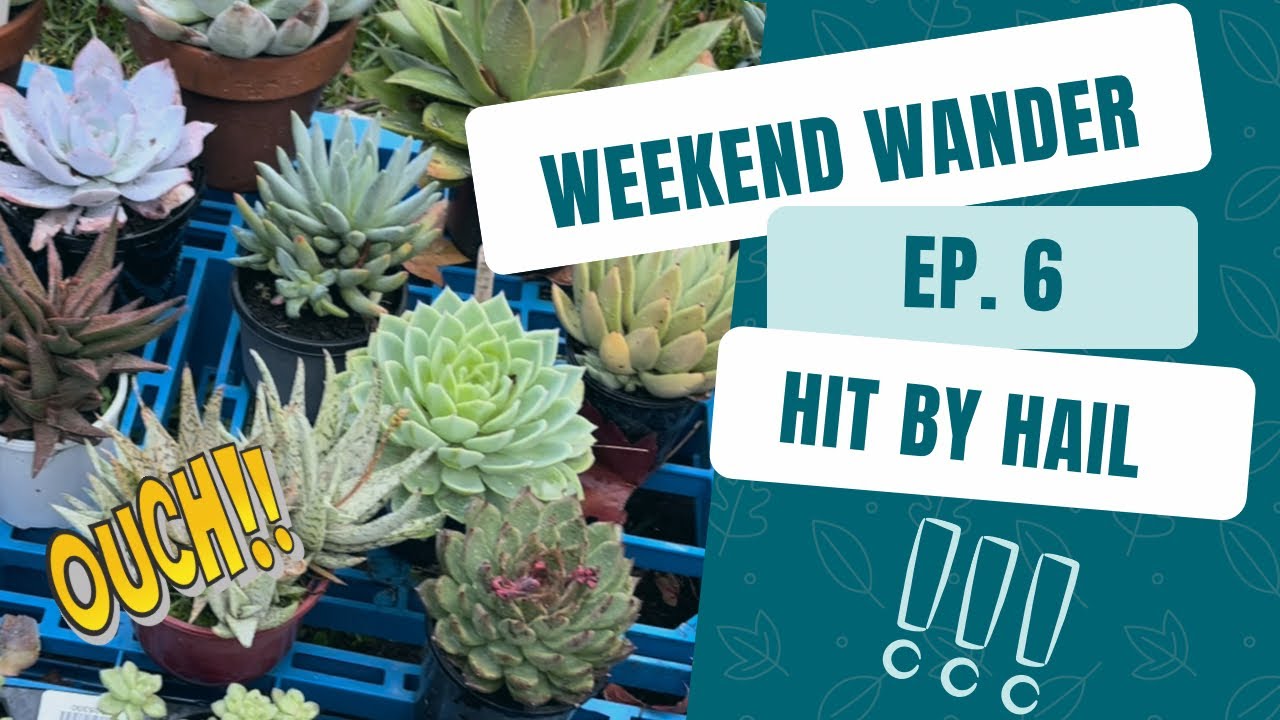 Weekend Wander Ep. 6 | Hit By Hail