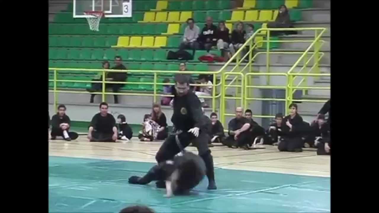 Bujinkan Collado Dojo Mauri Reel