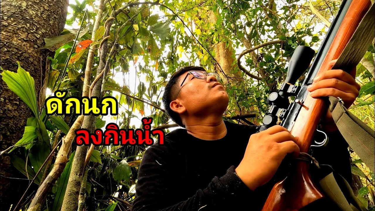 เข้าป่าหากิน #สายลมเย็น #jkx 