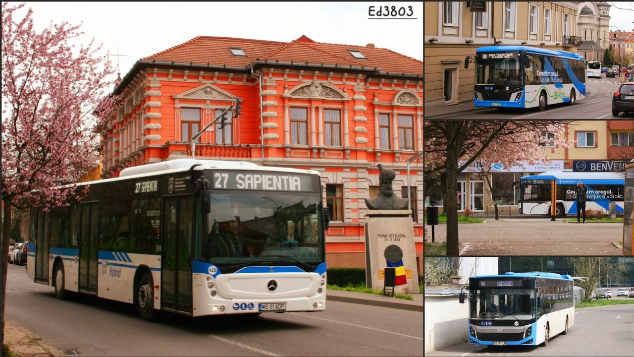 Transportul public în TÂRGU MUREȘ   🇷🇴   [2025]