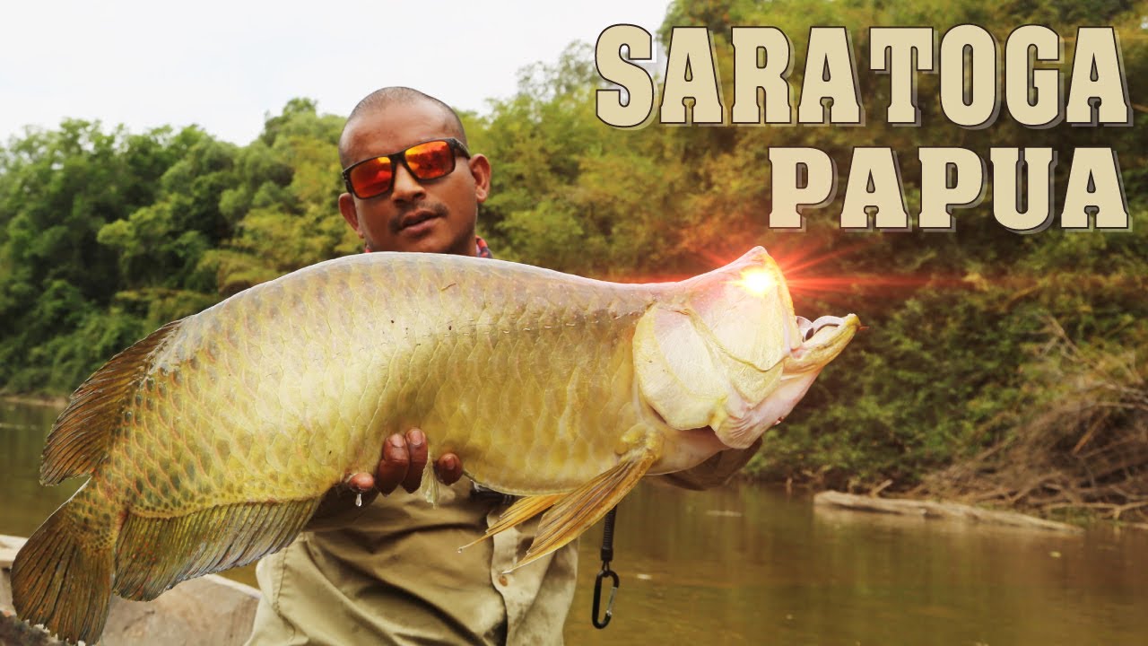 Saratoga Merauke Papua