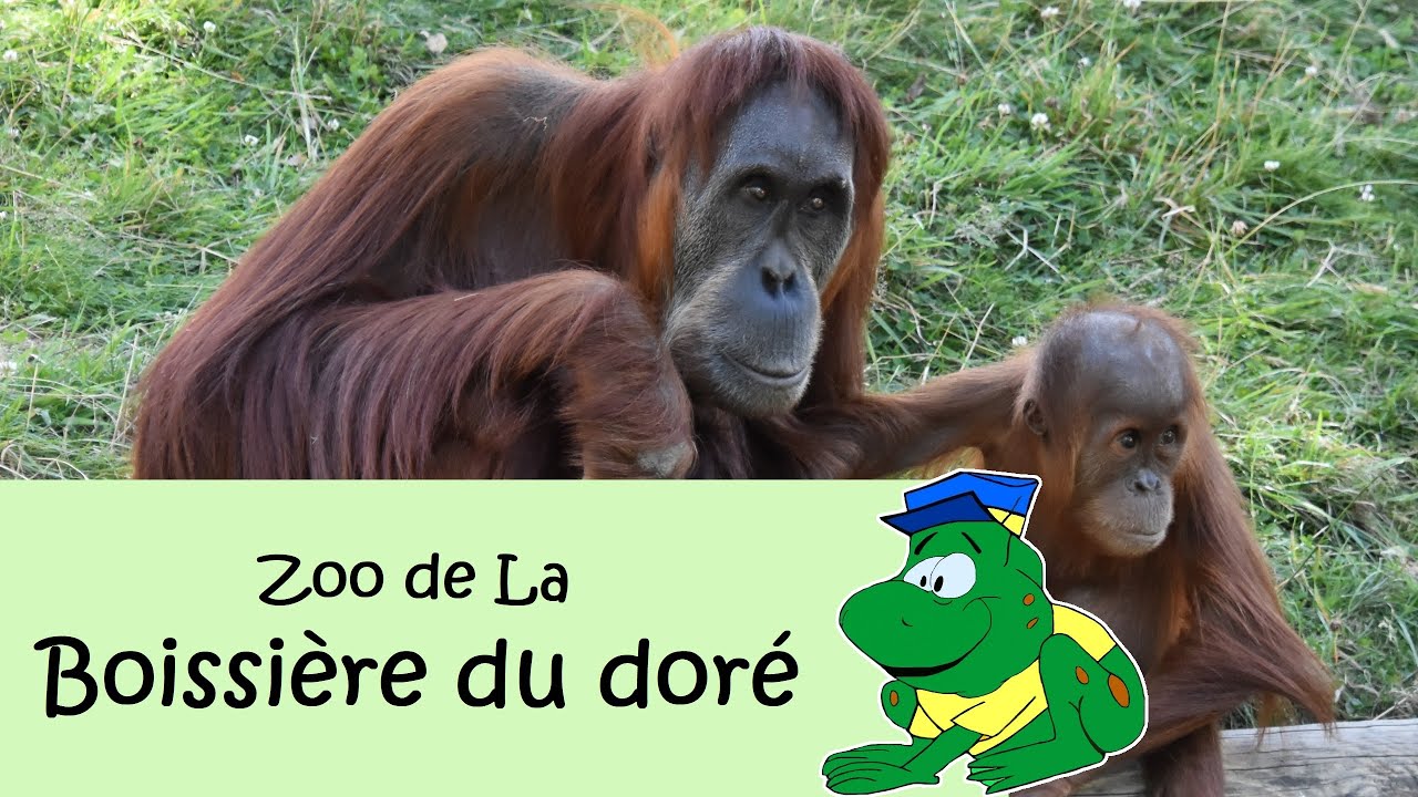 Zoo de La Boissière du doré, 2022
