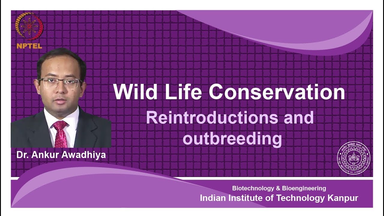 noc18-bt26 Lec 29-reintroduction and outbreeding