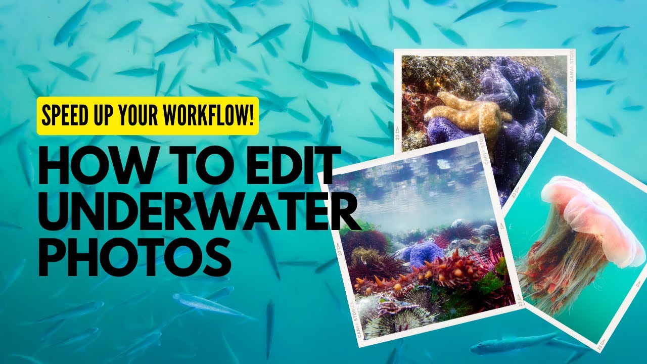Editing Tips for Underwater Photos - Speed Up Your Workflow!
