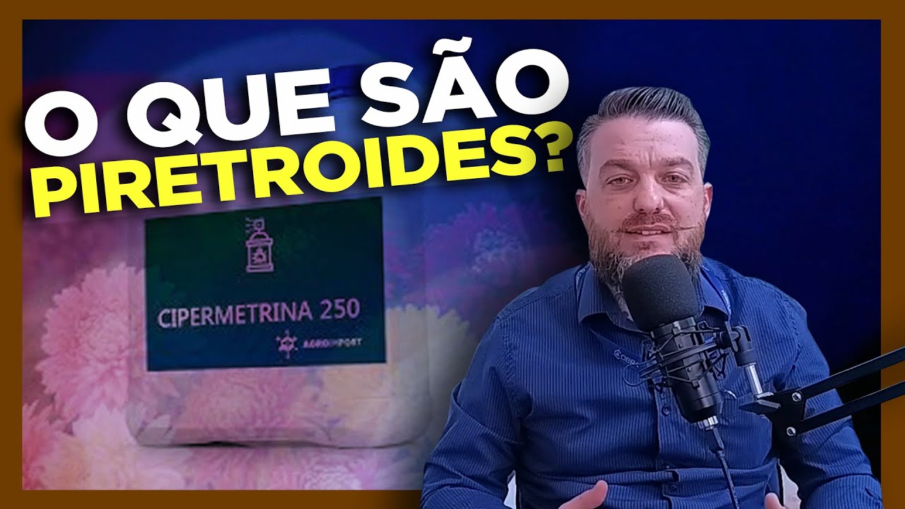 O que são os piretroides?