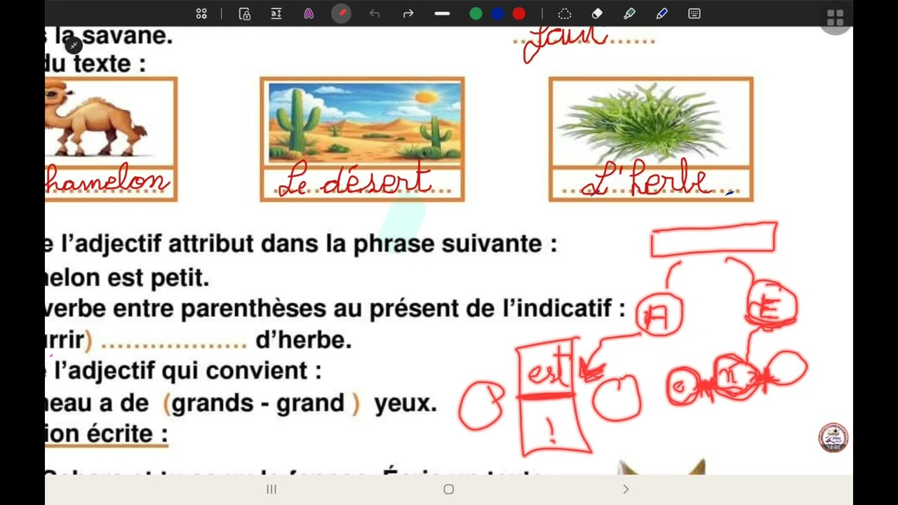 نموذج متوقع 💥 حل تقويم اللغة الفرنسية السنة الخامسة ابتدائي  بشرح رائع 