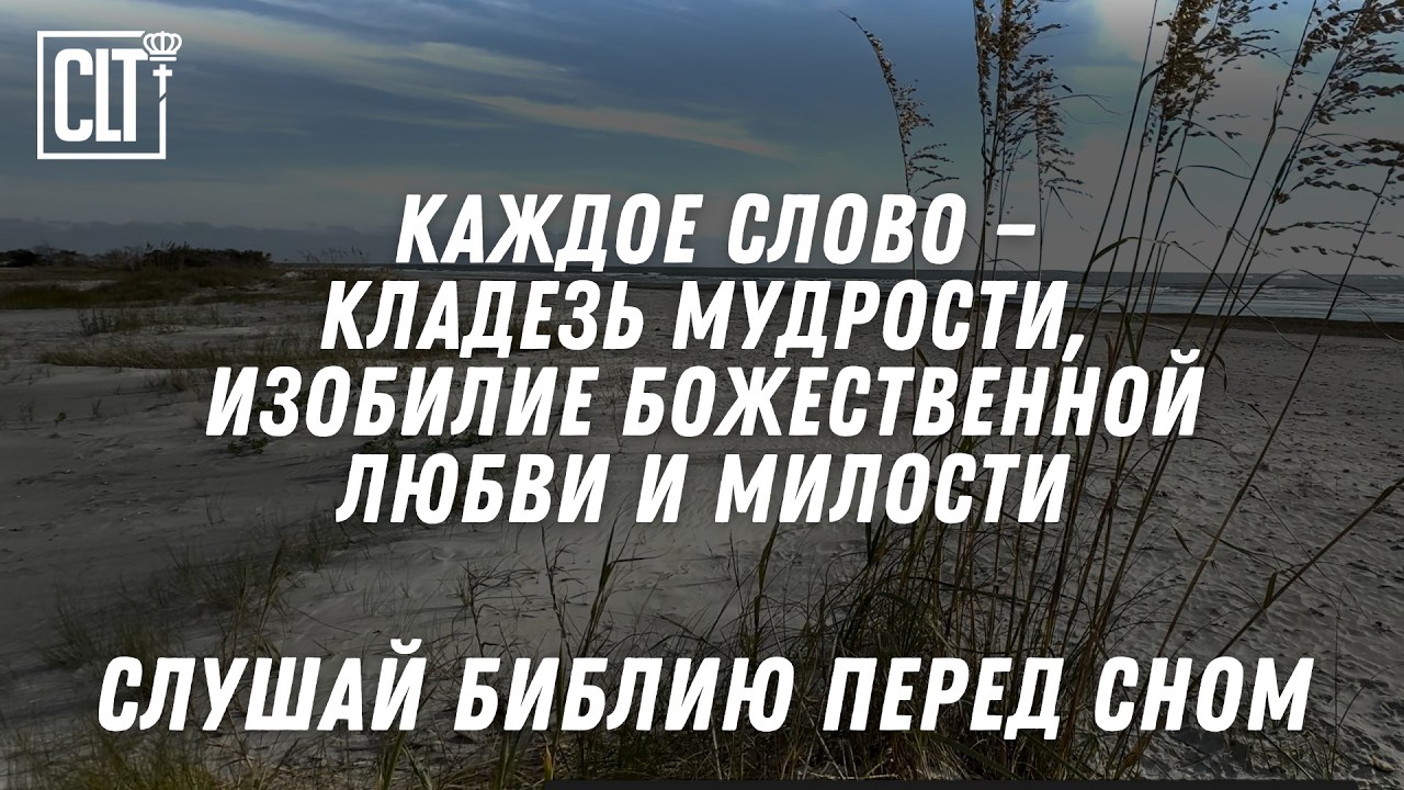 Мгновенный сон под шум прибоя | Океан  #Библия