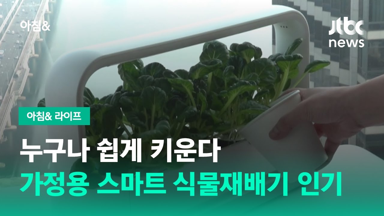 누구나 쉽게 키운다&hellip;가정용 스마트 식물재배기 인기 / JTBC 아침&