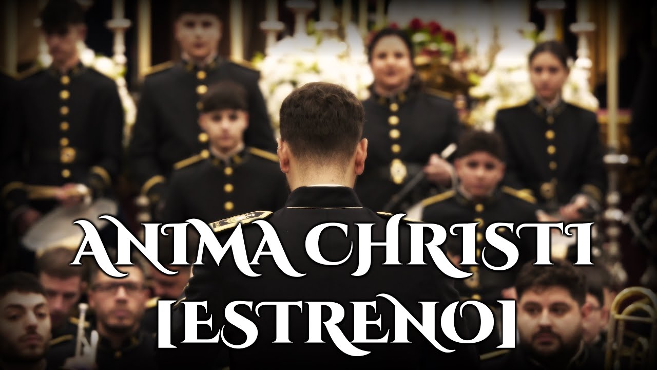 4K | Concierto 