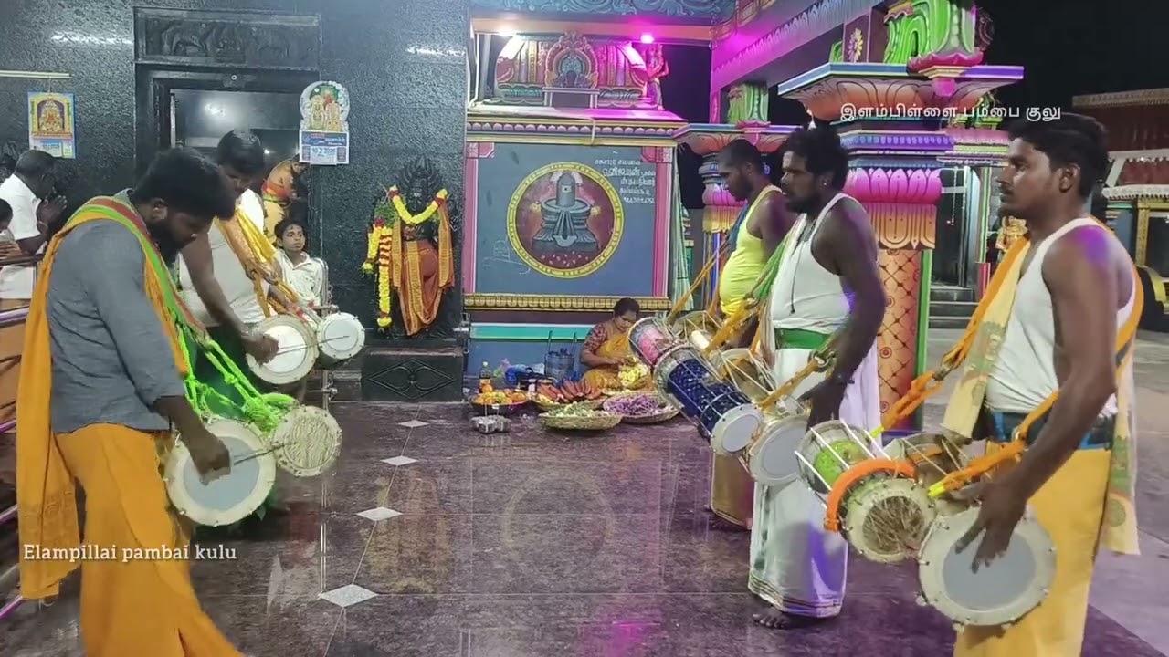 #elampillaipambaikulu #pambaivideo #pambai