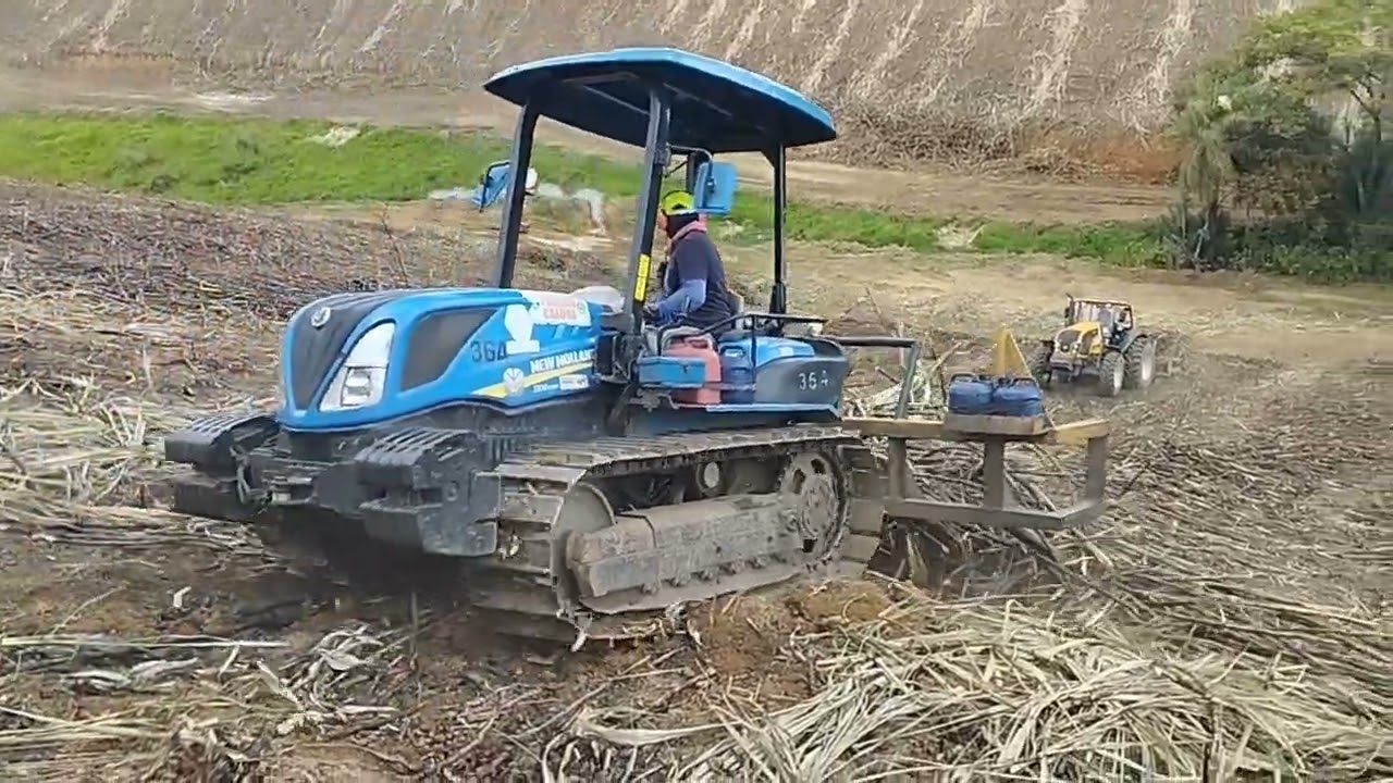 Segue minha família e rei embolando cana no trator 🚜🚜🙏