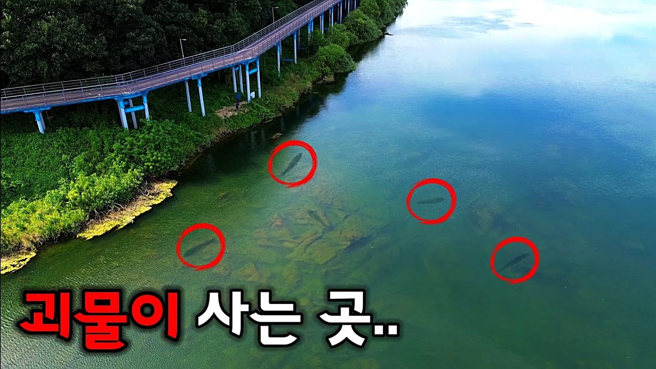 대물을 만나다/한 번 맛보면 중독되는 특수어종 사냥/맛있게 먹어보자/자급자족 낚시여행 
