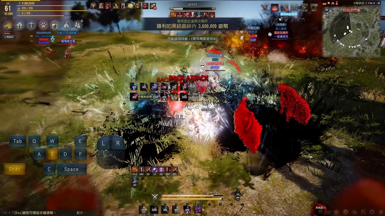 Puxin l Black Desert  Ninja vs Tamer