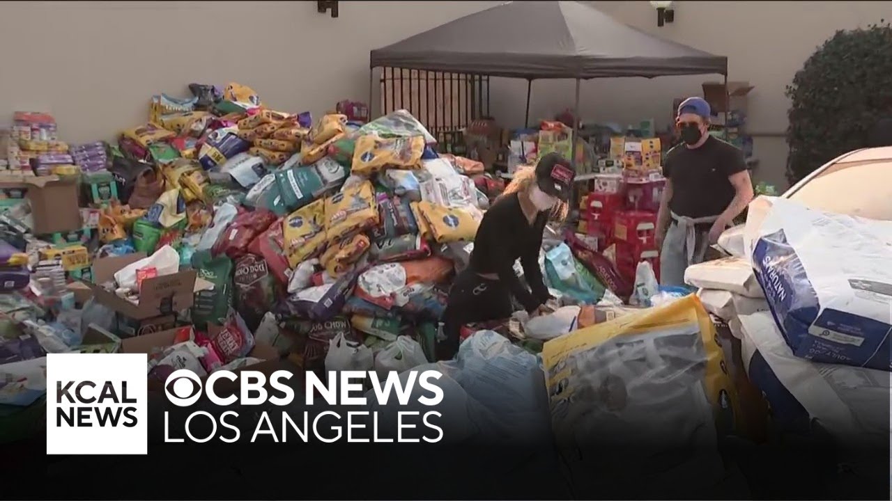 Pasadena Humane Society sees influx of donations as Eaton Fire continues to burn