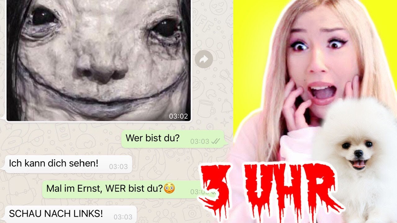 SCHAUE & LESE niemals WHATSAPP NACHRICHTEN mit HUNDE BABY FLUFFY 3 Uhr NACHTS alleine im HAUS