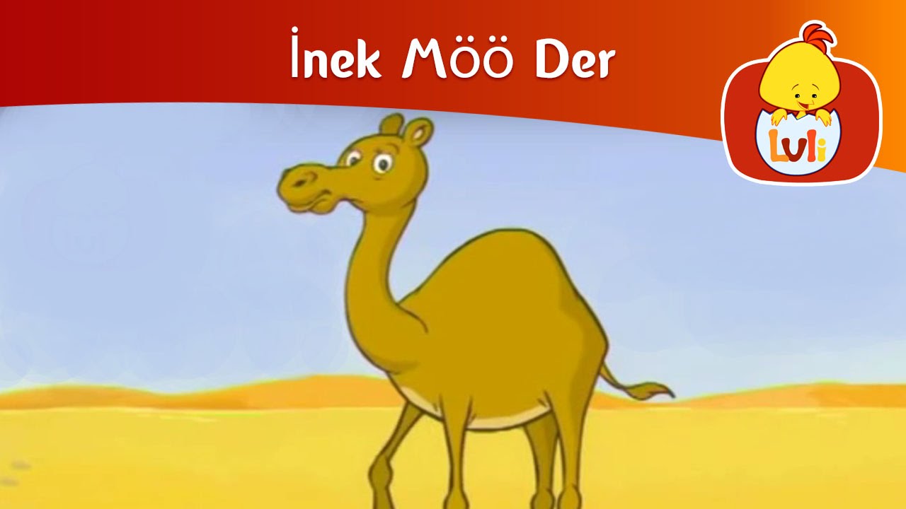 İnek Möö Der - Deve, Luli TV