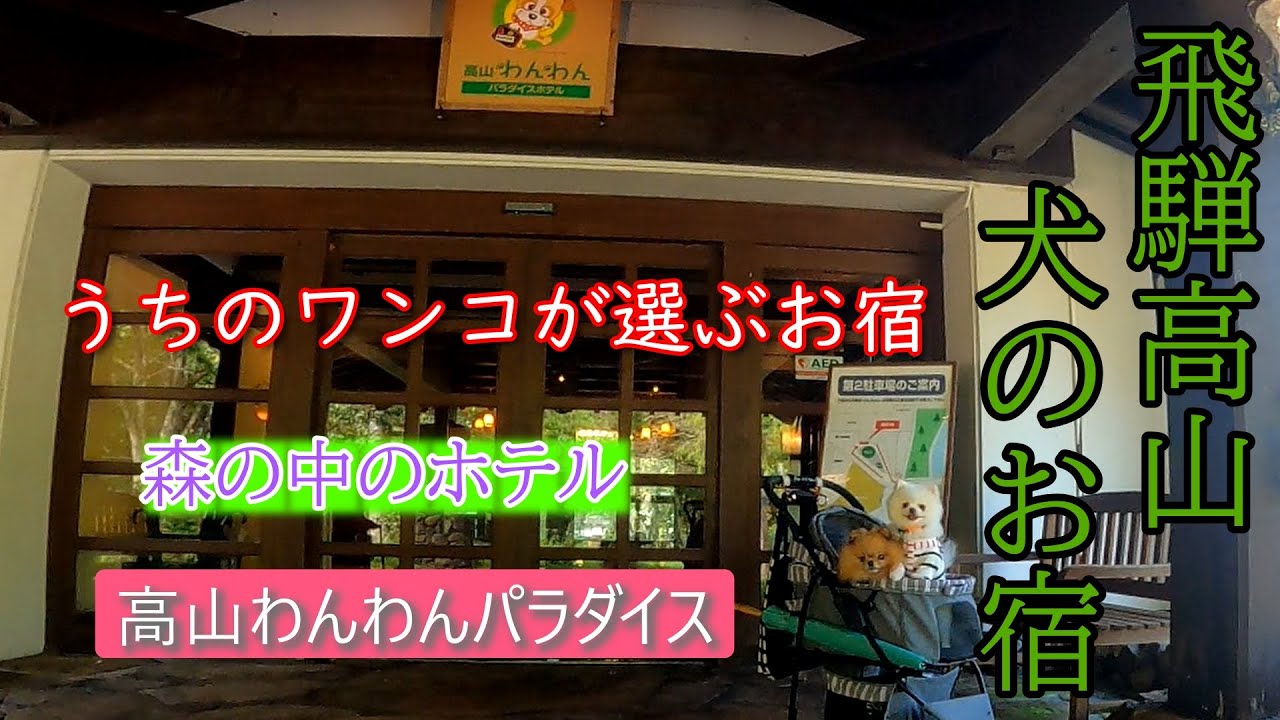 ウチのワンコが選ぶお宿♪高山わんわんパラダイスホテル